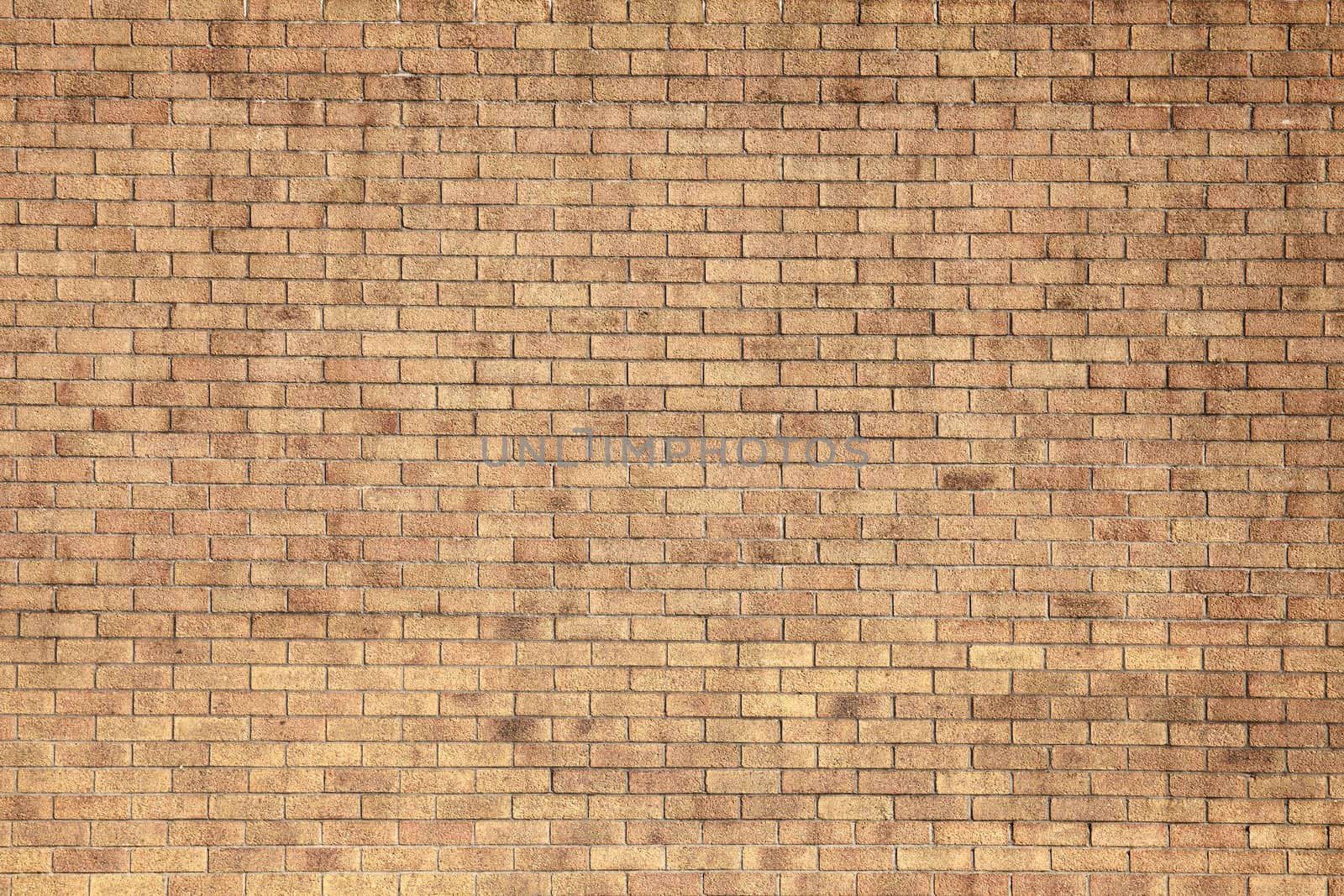 Modern large yellow brick wall texture background stock photo