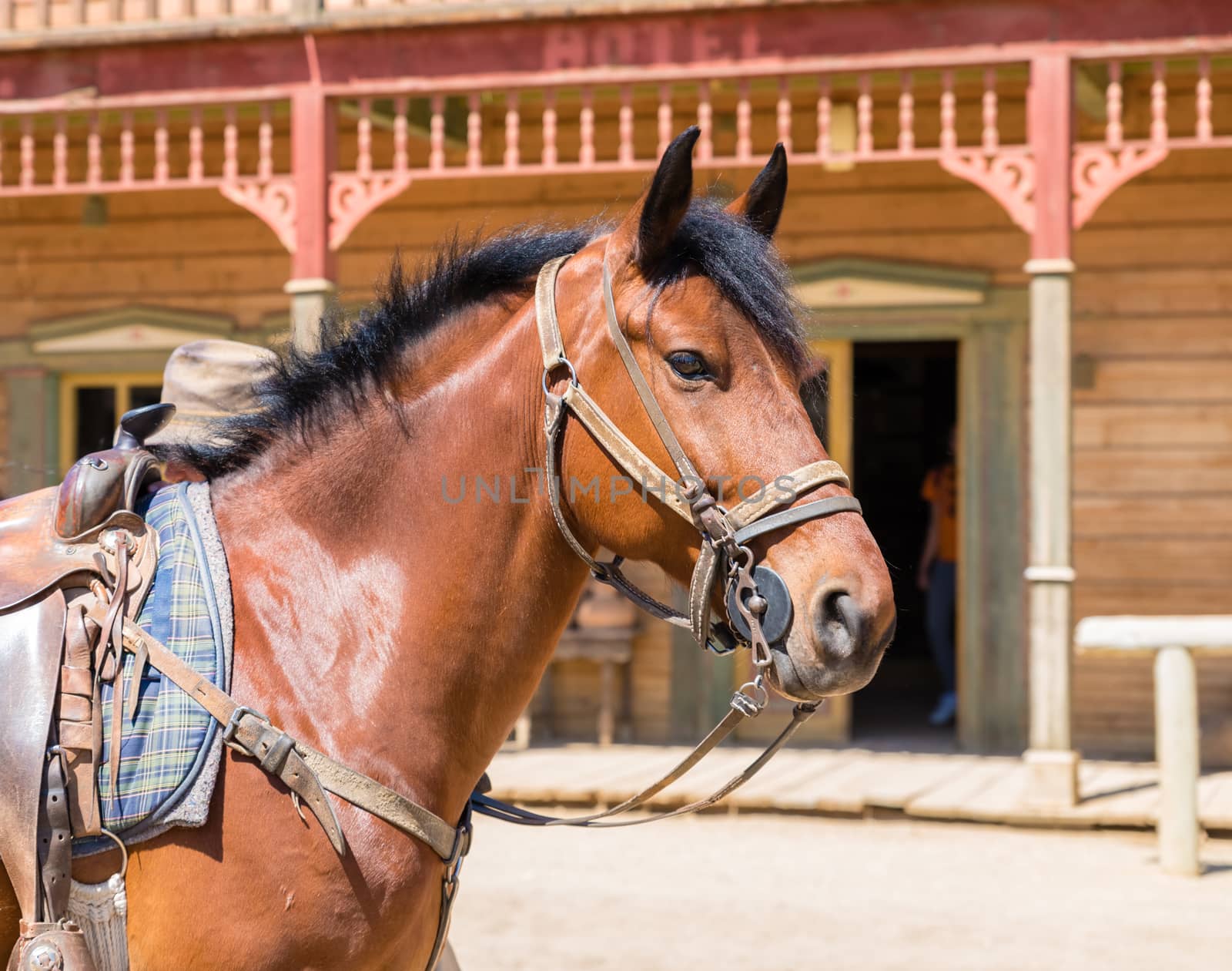 Working horse with blinders