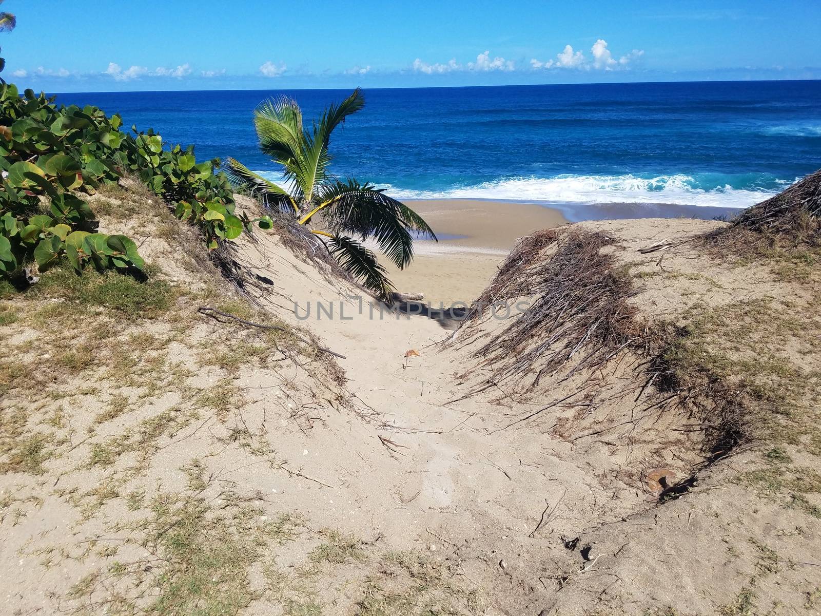 sand and ocean water and trail to beach in Isabela, Puerto Rico by stockphotofan1