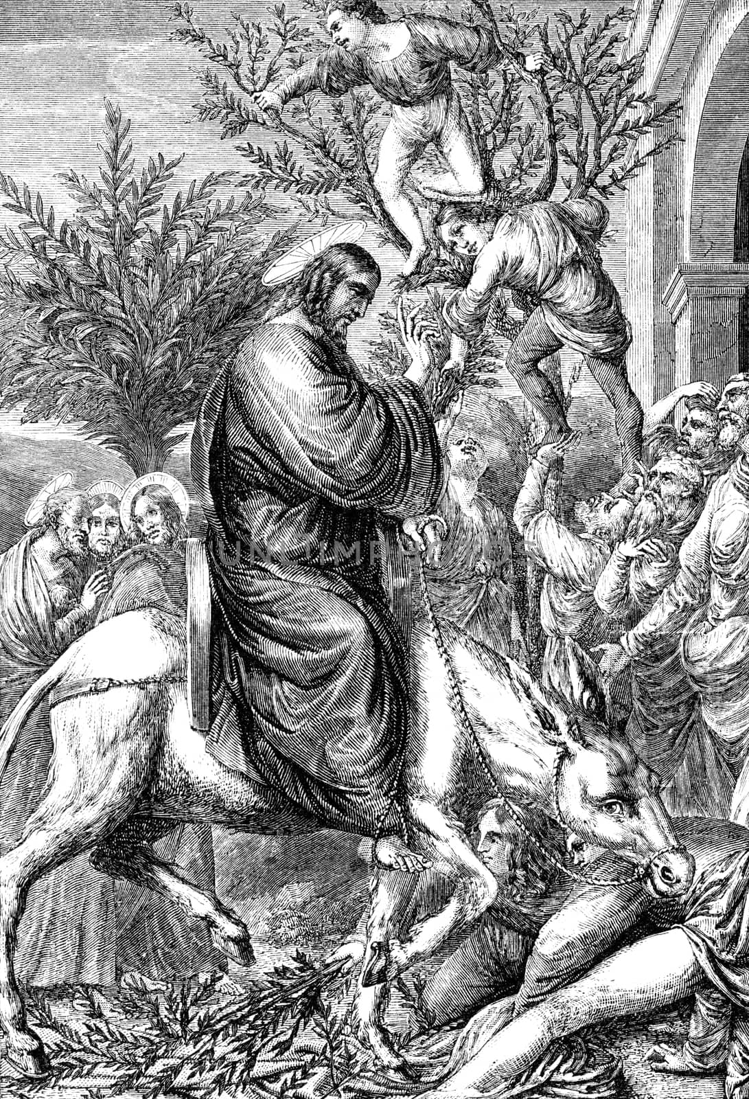 An engraved vintage New Testament Bible illustration image of Jesus Christ entry into Jerusalem, from a Bible dated 1883 that is no longer in copyright stock image