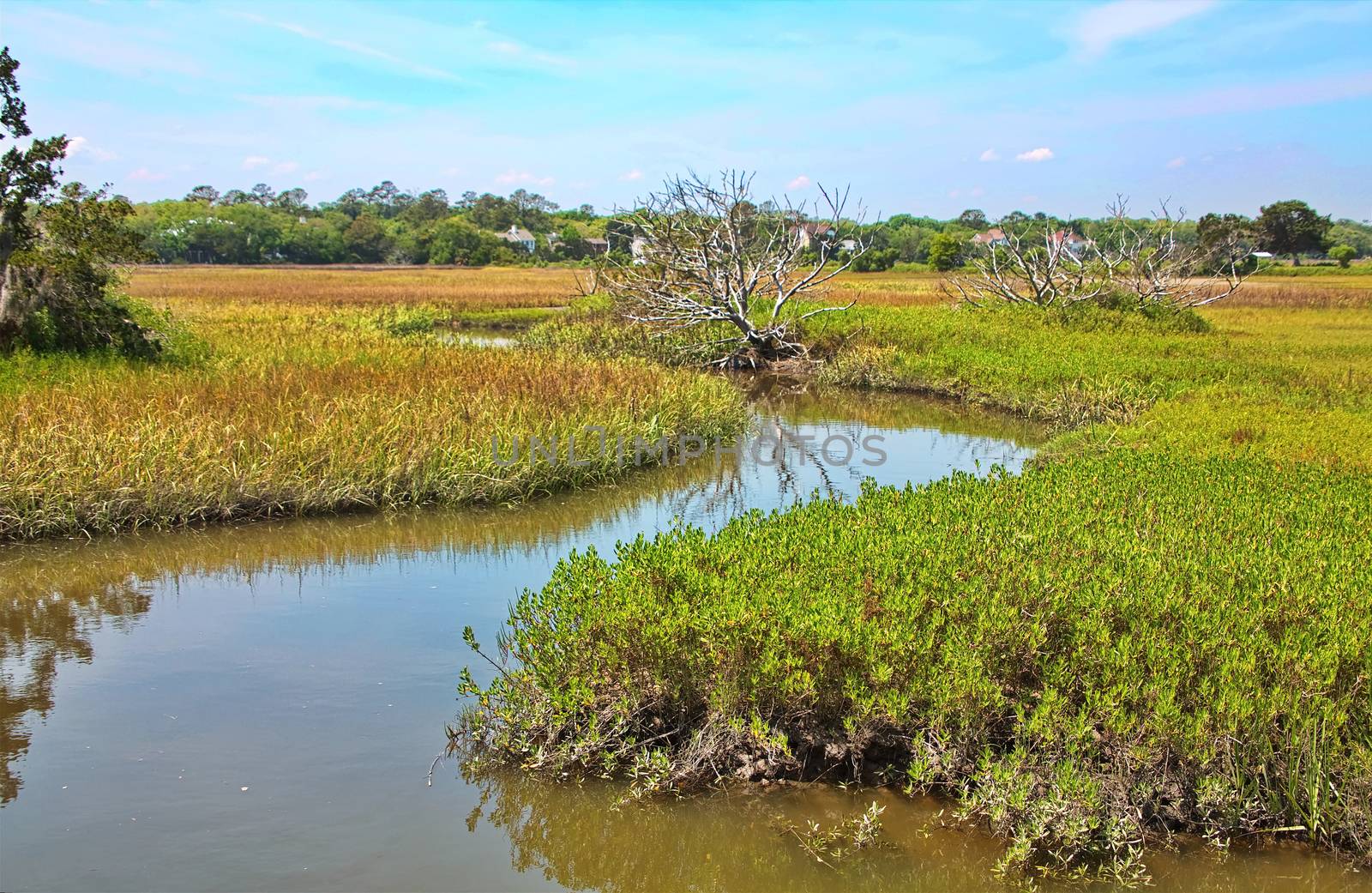 A river running through a salt water wetland marsh at high tide