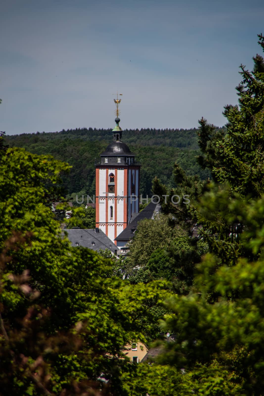 Church tower looks out between the trees