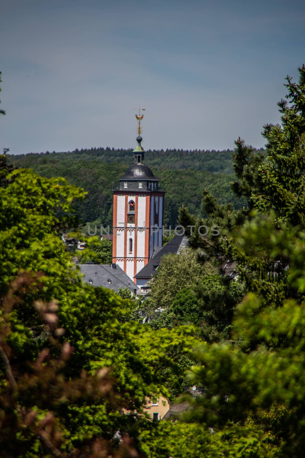 Church tower looks out between the trees