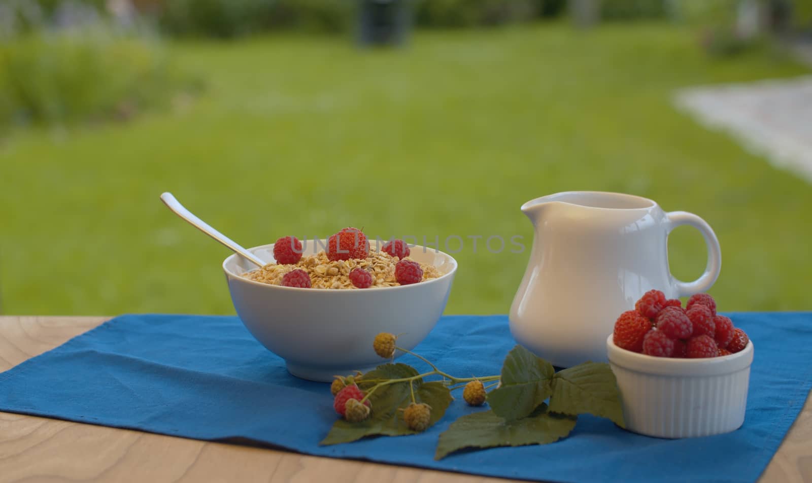 Bowl of muesli with raspberry by Alize
