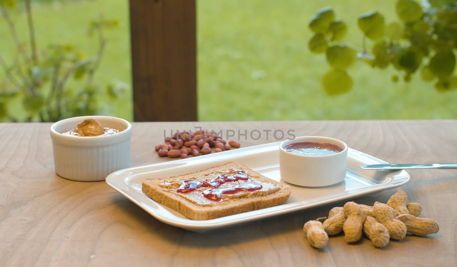 Close up sandwich with peanut butter and jam. Snack in the garden. Vegetarian food. Healthy lifestyle concept.