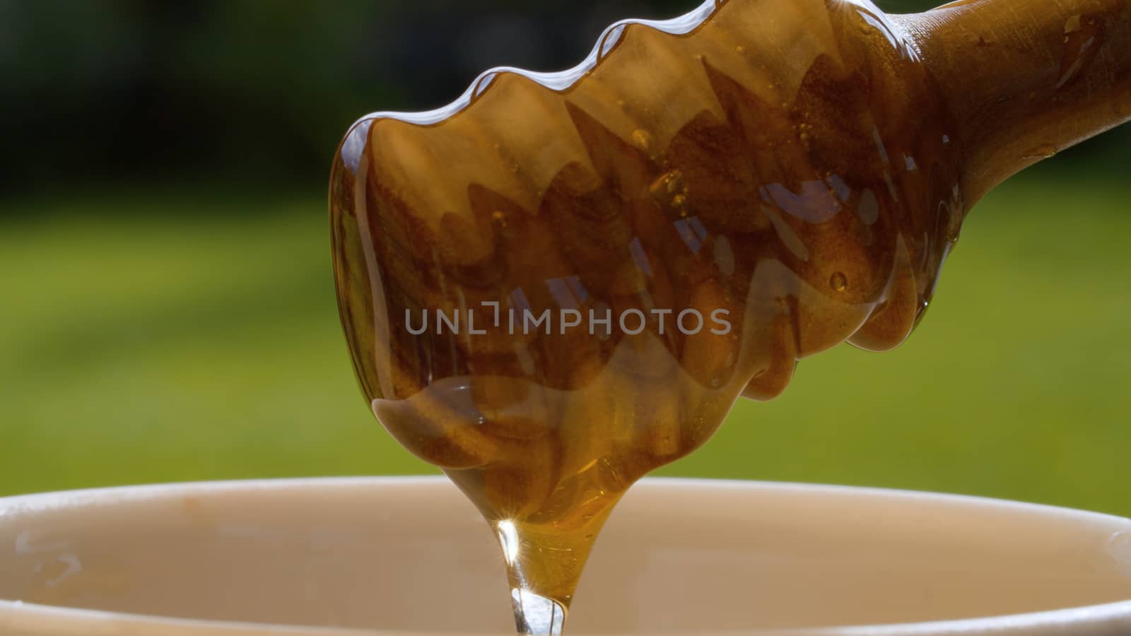 Extreme close up honey pouring from honey spoon into a bowl on blurry natural background at summer day. Beautiful sun glare on honey. Healthy fresh food concept