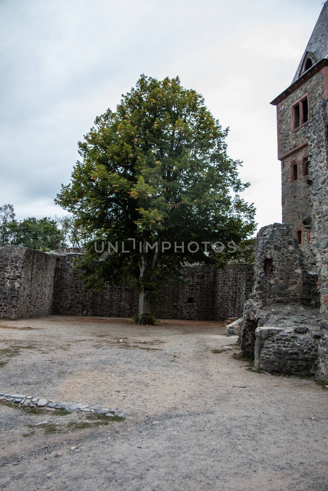 Frankenstein Fortress near Darmstadt