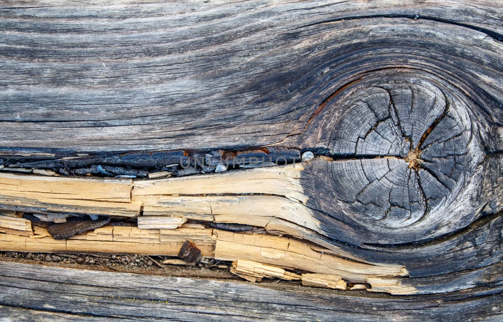 old gray cracked weathered board outdoor closeup