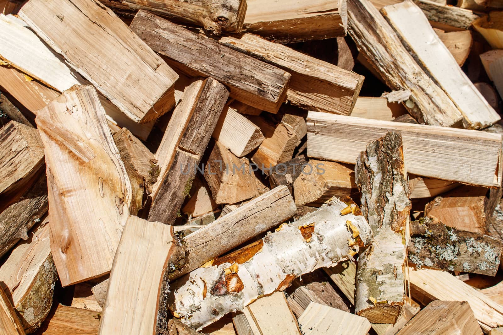 large pile of birch firewood on sunny day outdoor closeup