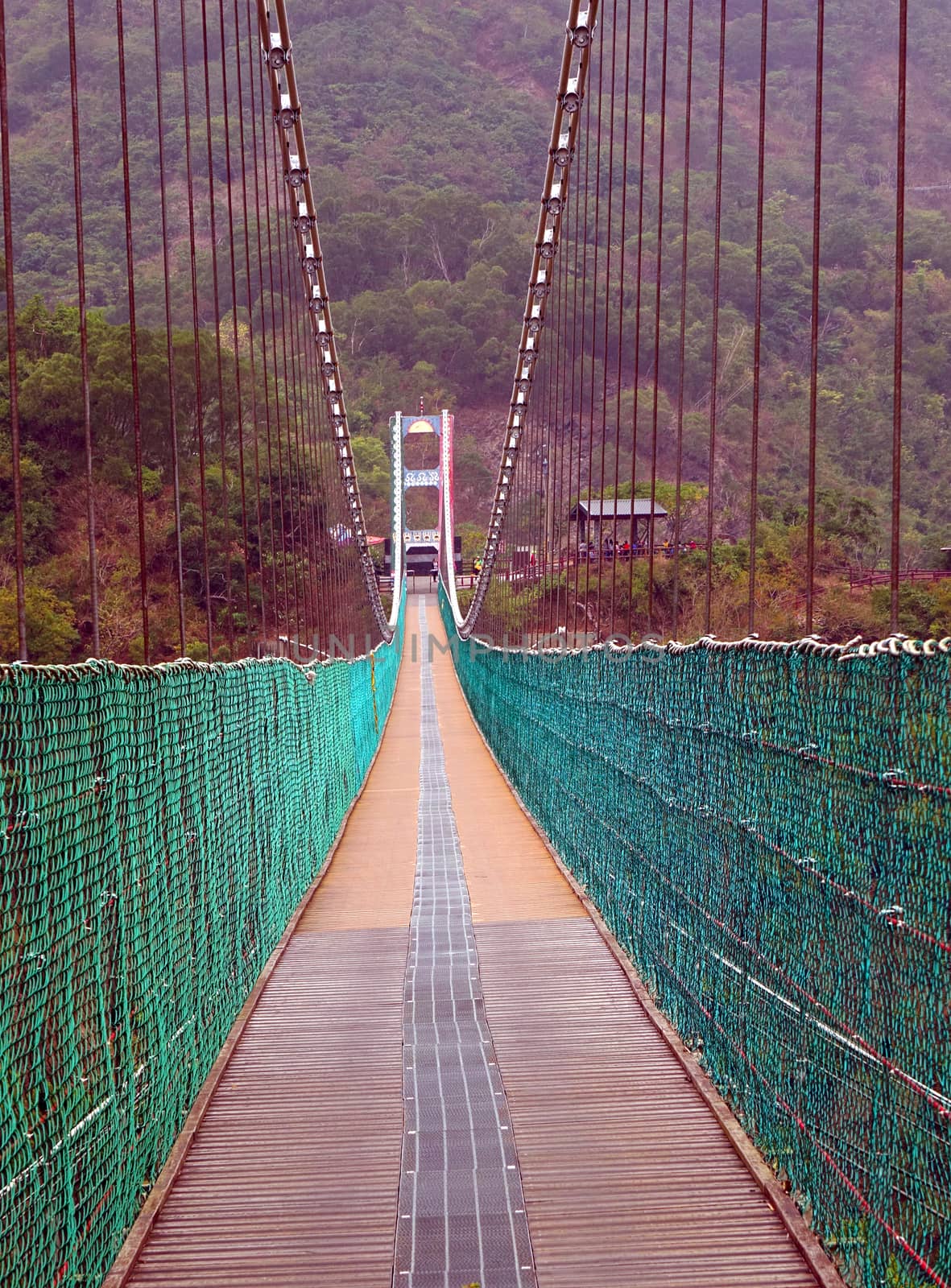 A traditional suspension bridge in the Maolin Scenic Area
