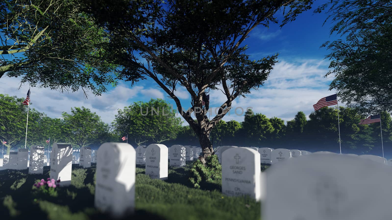 Graves, Headstones and US flags at the Arlington National Cemetery