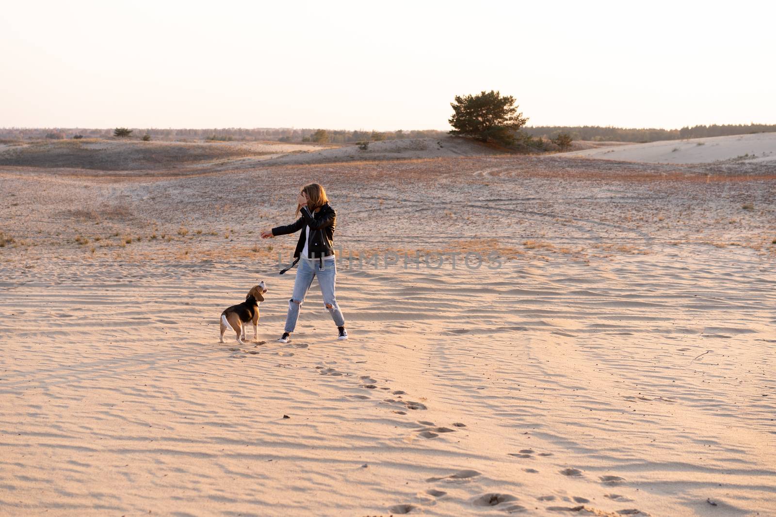 a young Caucasian girl somewhere in a leather jacket and blue jeans runs along the sandy beach with her beagle dog by andreonegin