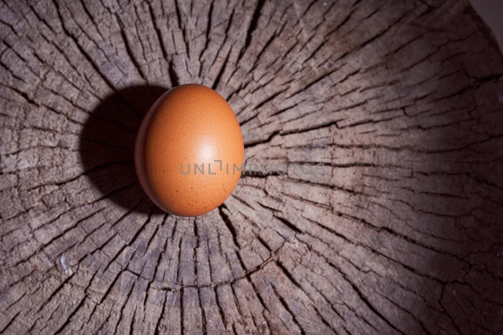 Brown egg lays on the wooden frame. High quality photo