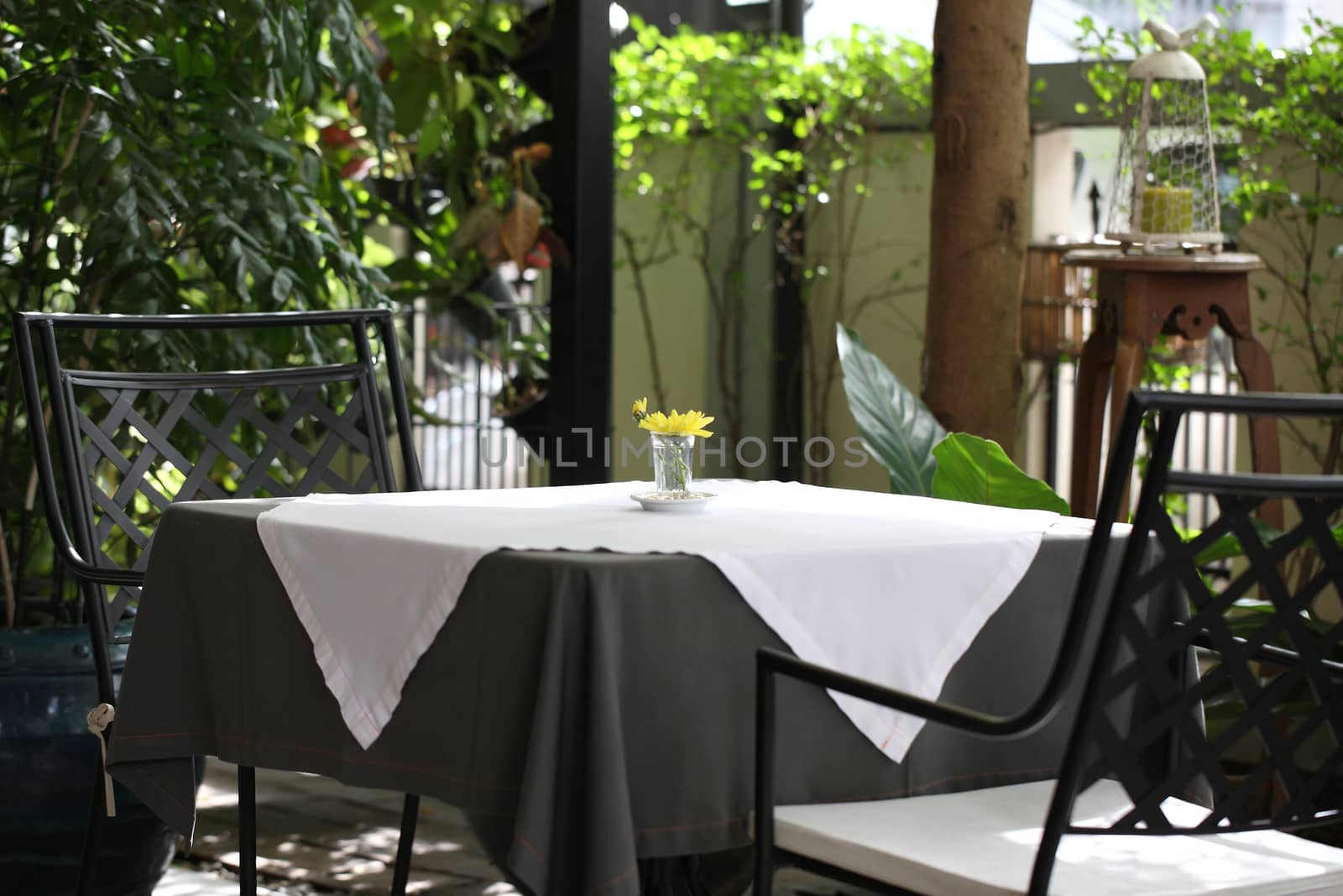 Chair and table with flower and nature