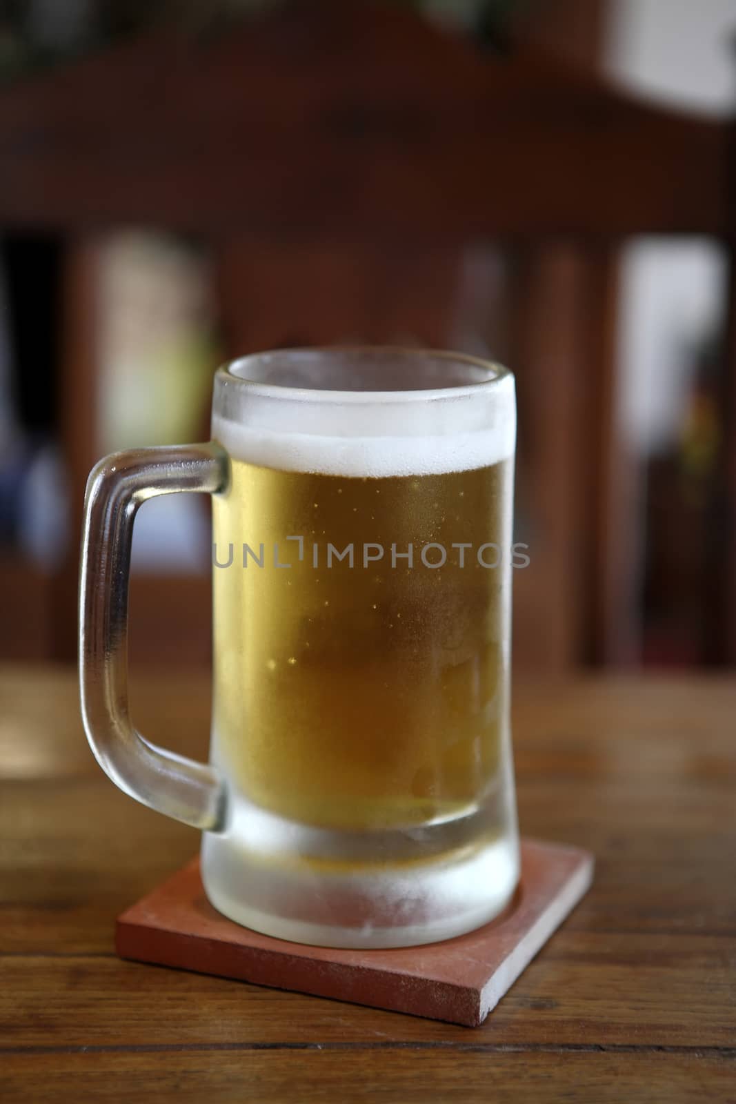 beer on wood background