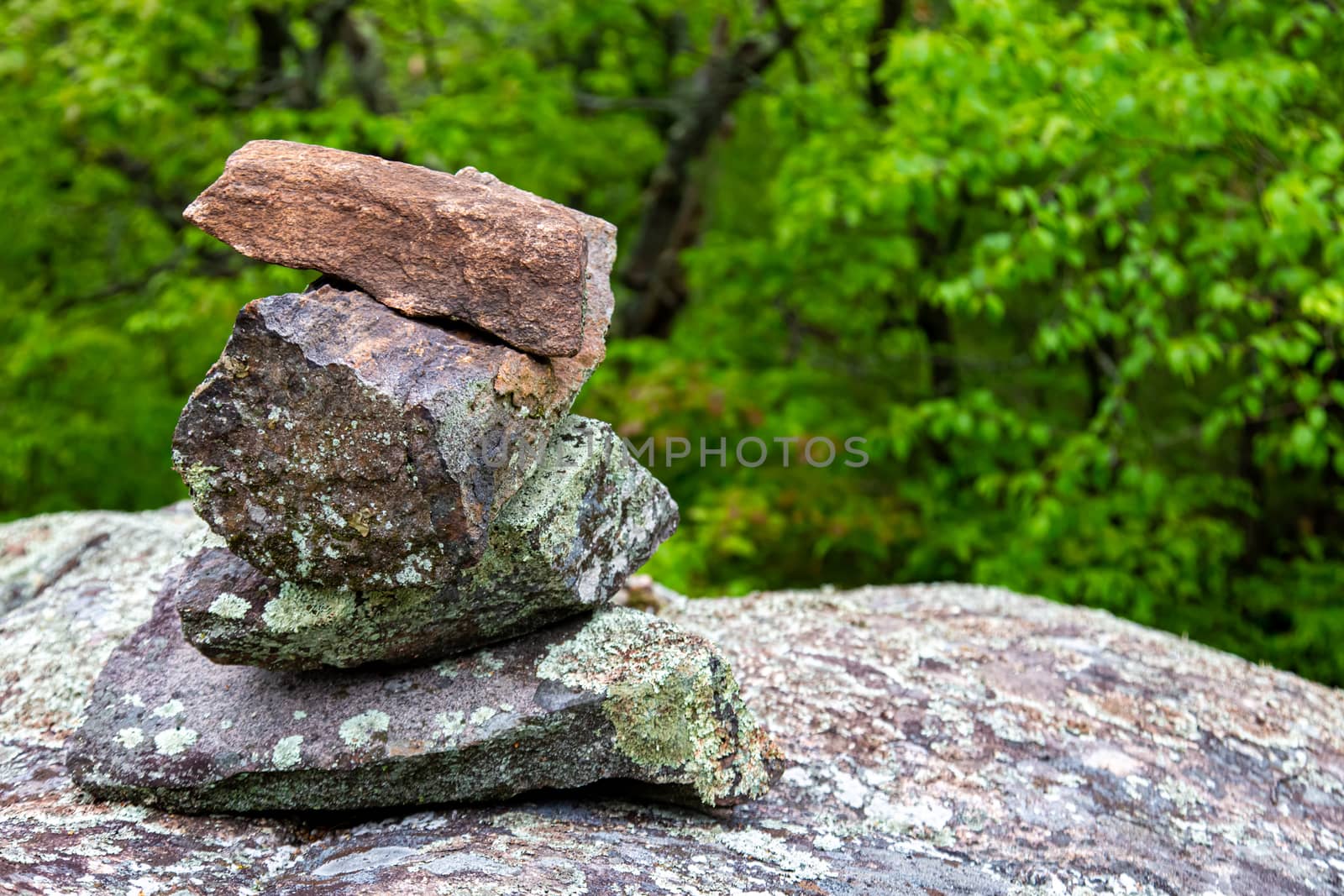 Stacked rocks serve as a marker on a forest hiking trail.