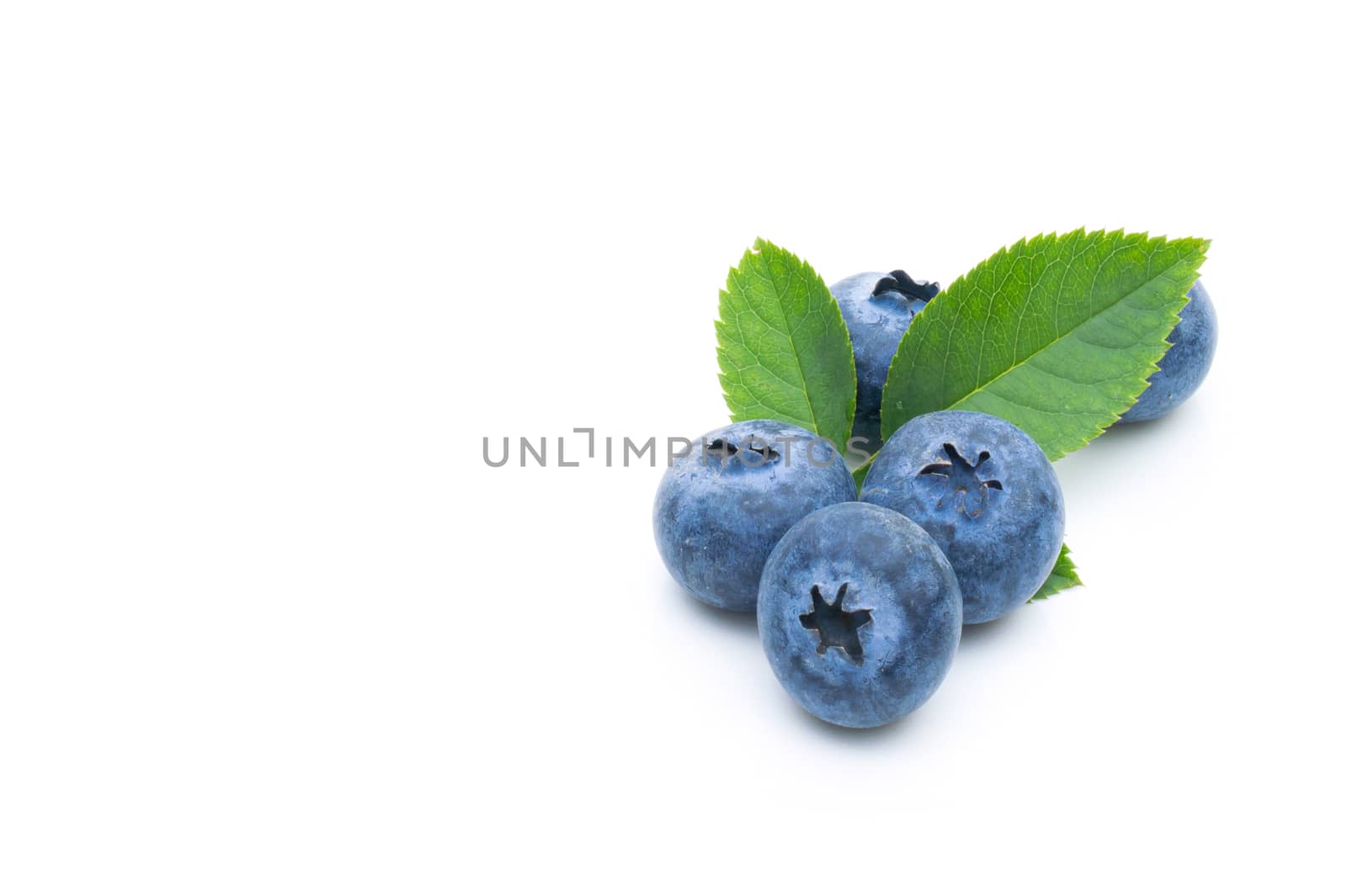  Blueberry fruit on a white background by sompongtom