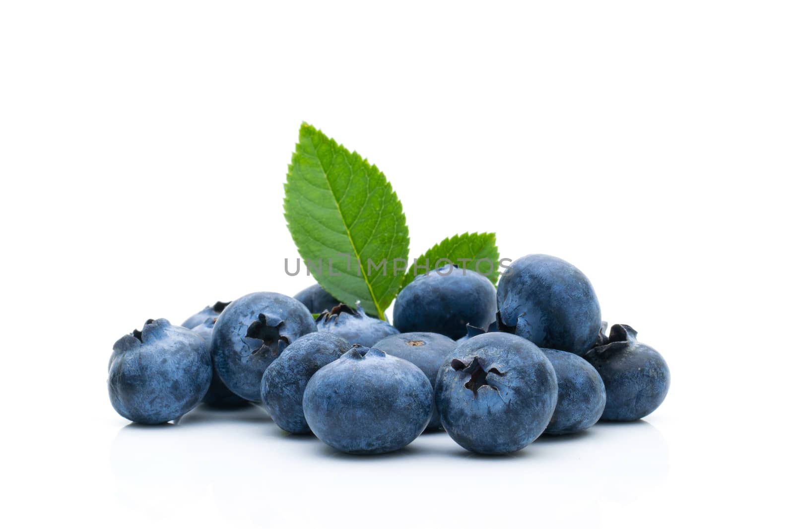  Blueberry fruit on a white background by sompongtom