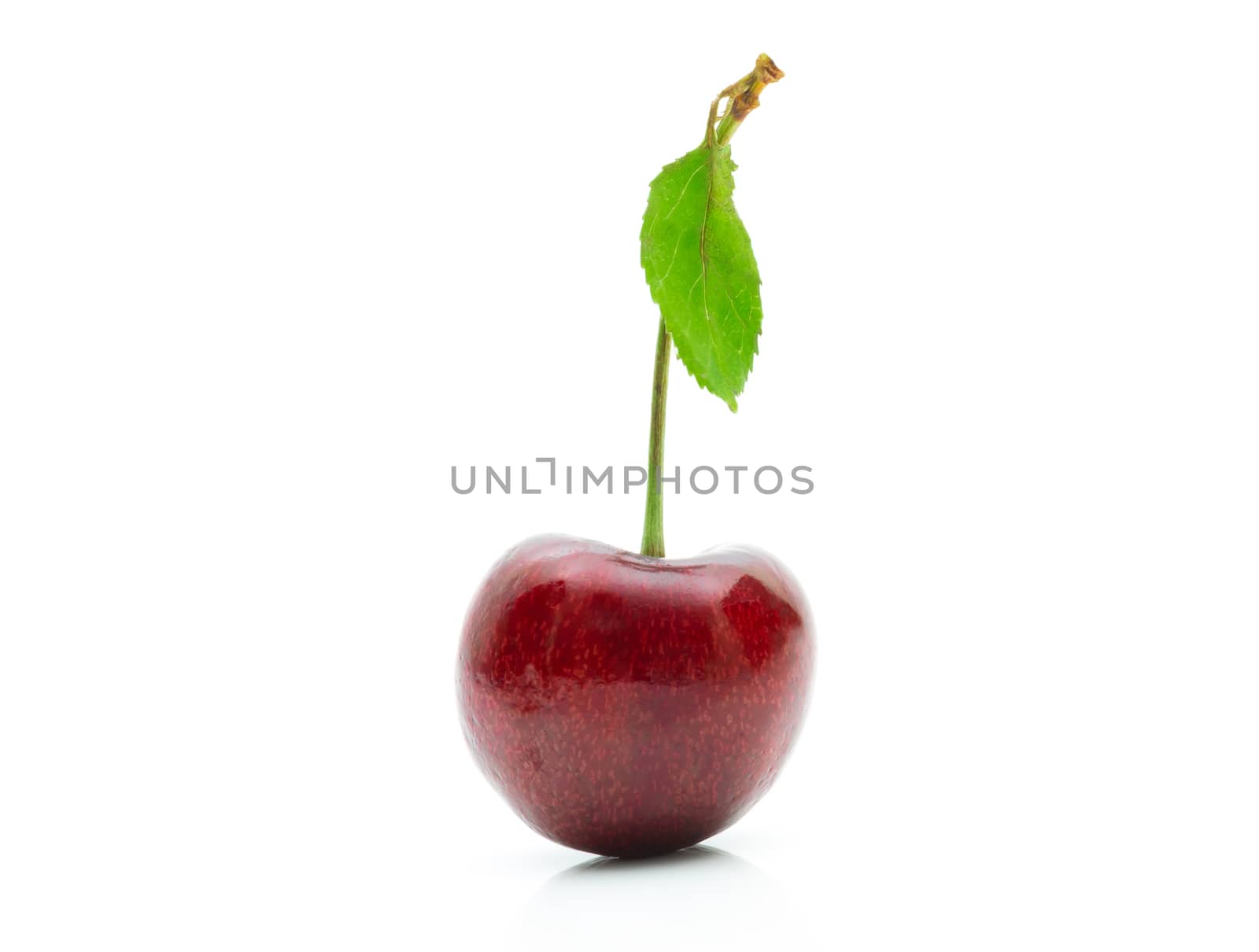 Cherry fruit on a white background by sompongtom