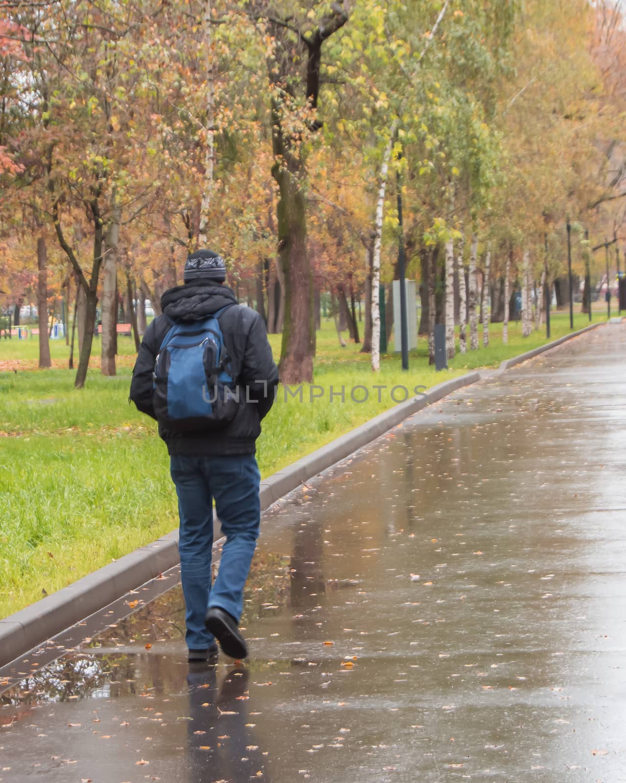 A man in warm clothes with a backpack, walking along a wet alley in the Park, in the autumn in cloudy weather, view from the back.