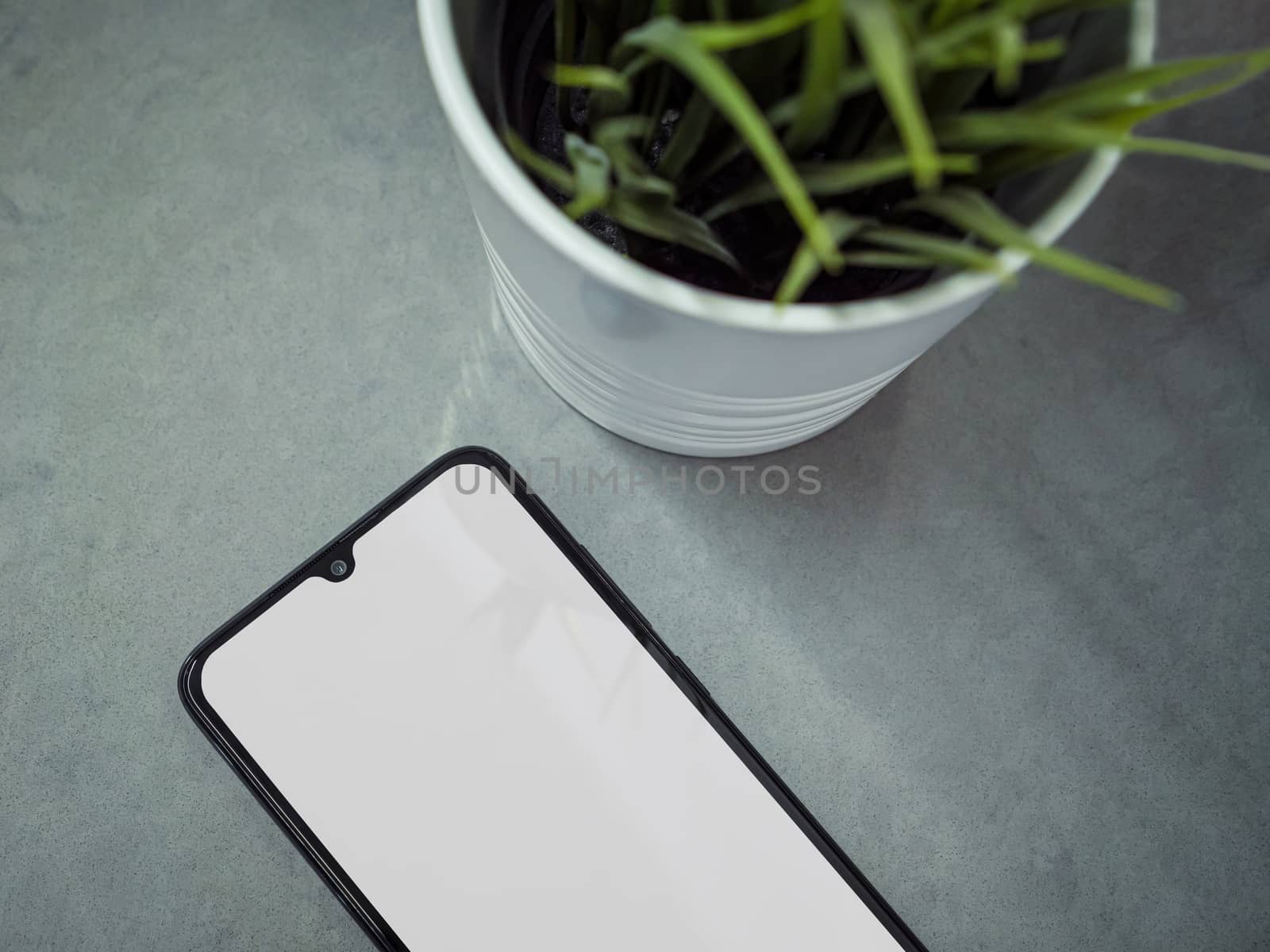 Modern minimalist workspace with black mobile smartphone mockup lies on the surface with a blank screen. Office desk table with a green plant. Top view flat lay closeup on grey marble stone background