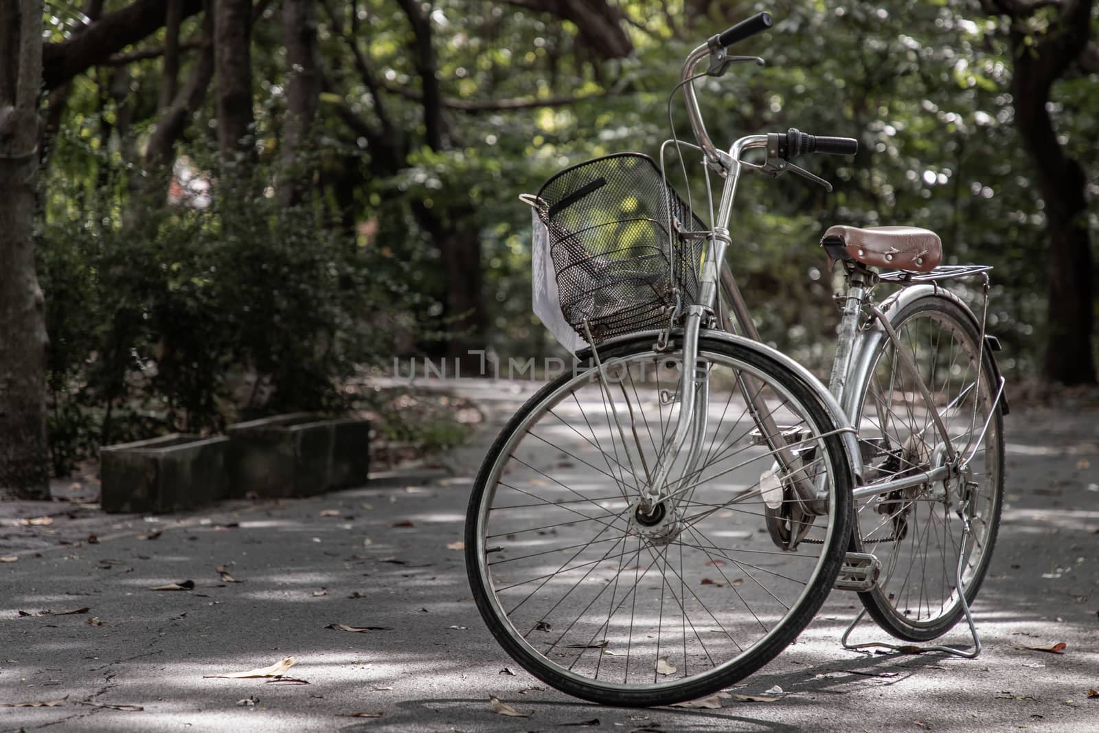 Bicycles parked on the road in the park in a sunny day. Bicycling is common transportation.