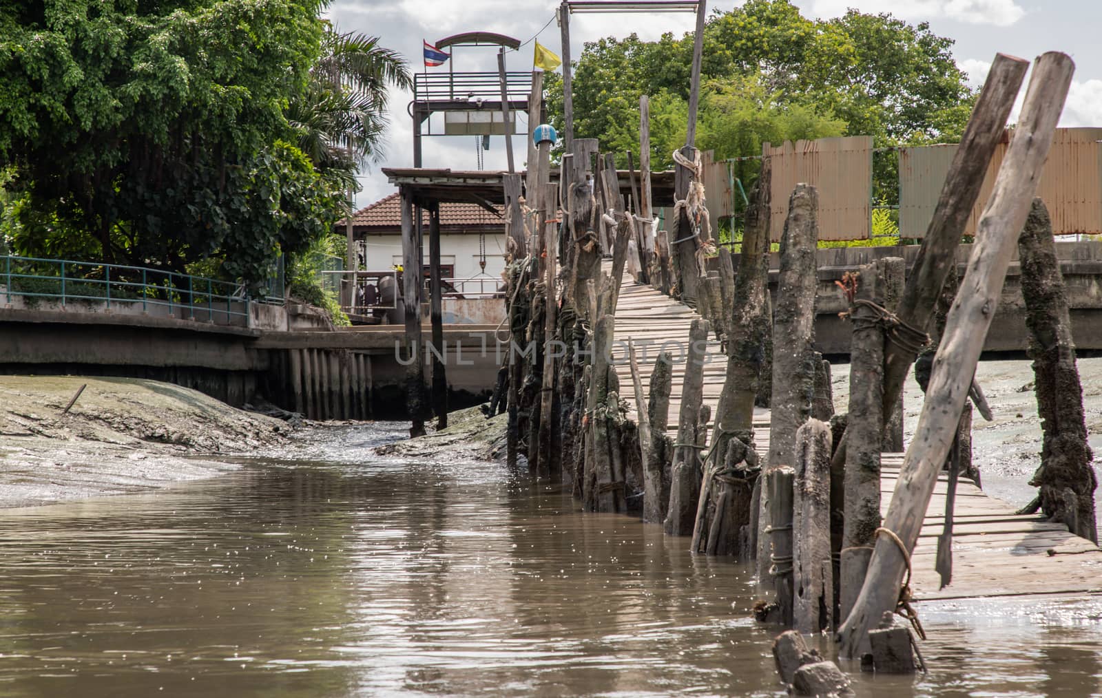 A view of The old broken wooden pier by Chao Phraya River.