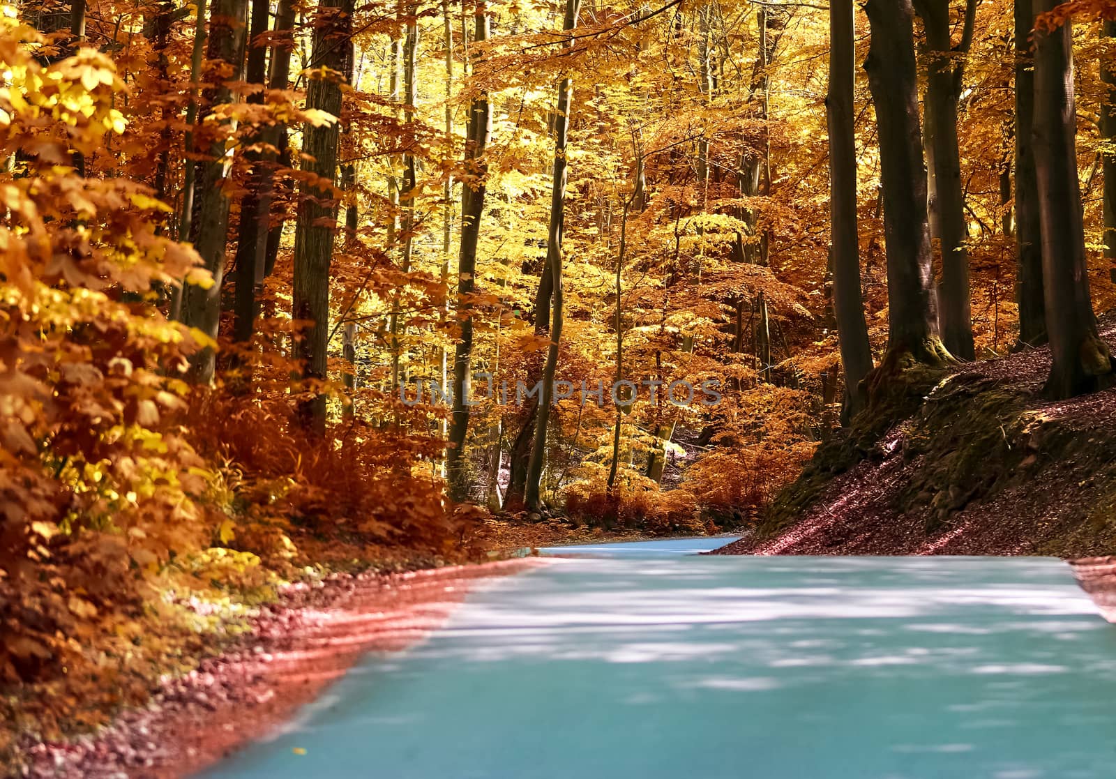 Beautiful panorama view on a golden autumn landscape found in eu by MP_foto71