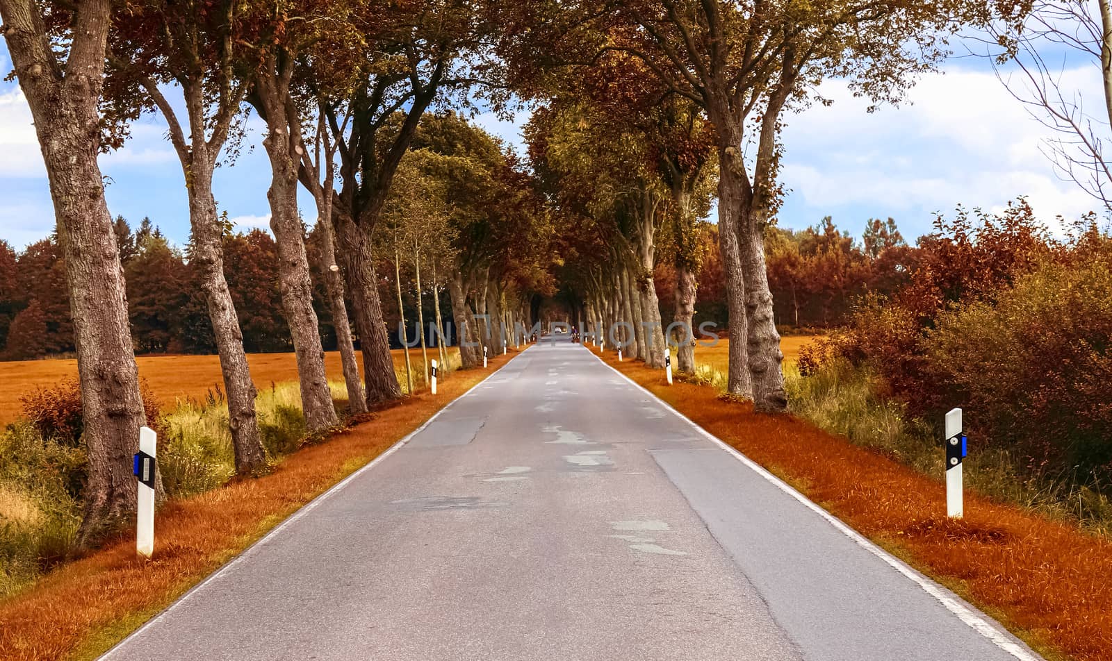 Beautiful panorama view on a golden autumn landscape found in eu by MP_foto71