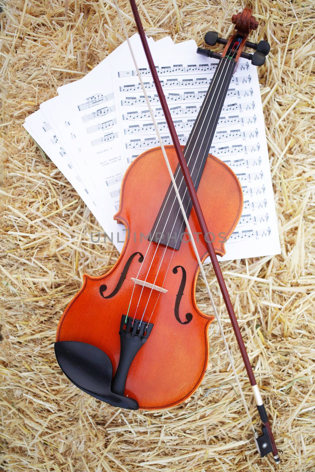 One violin and bow placed on a pile of straw in the field. Music Violin training by selinsmo