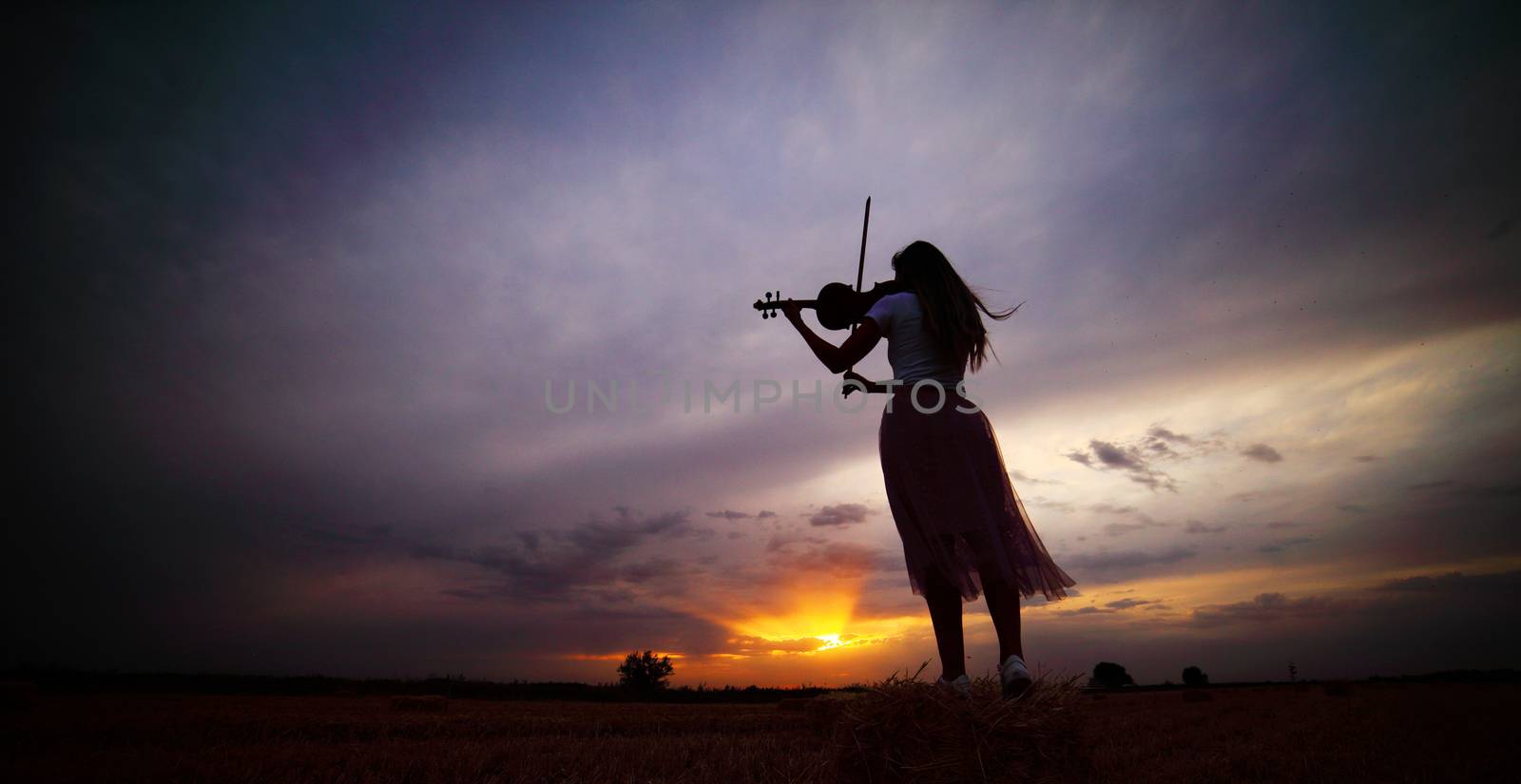 Romantic young woman with loose hair playing the violin in a field at sunset by selinsmo