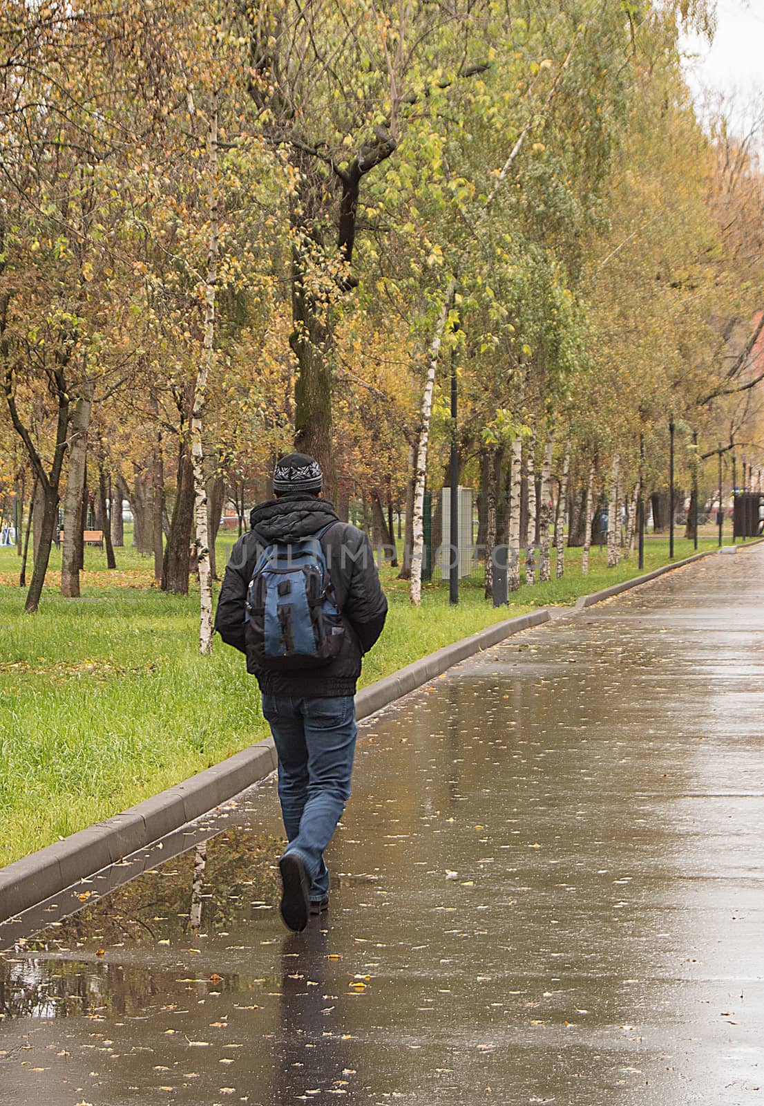 A man in warm clothes with a backpack, walking along a wet alley in the Park, in the autumn in cloudy weather, view from the back by claire_lucia