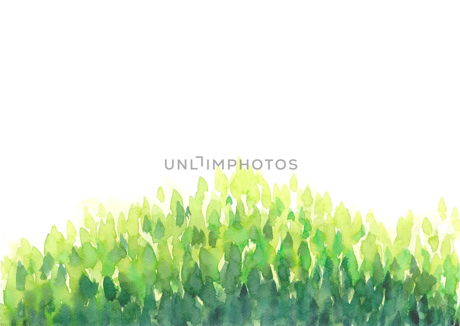 abstract watercolor hand painting green leaves, forest frame on white isolated background. Nature, ecology template.