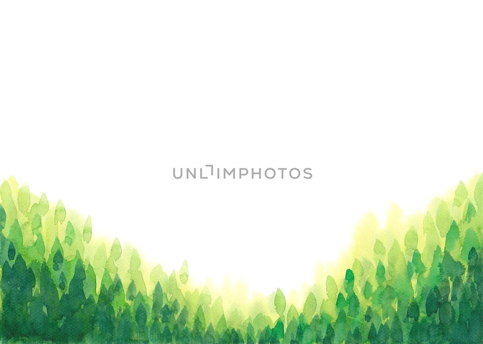 abstract watercolor hand painting green leaves, forest frame on white isolated background. Nature, ecology template.