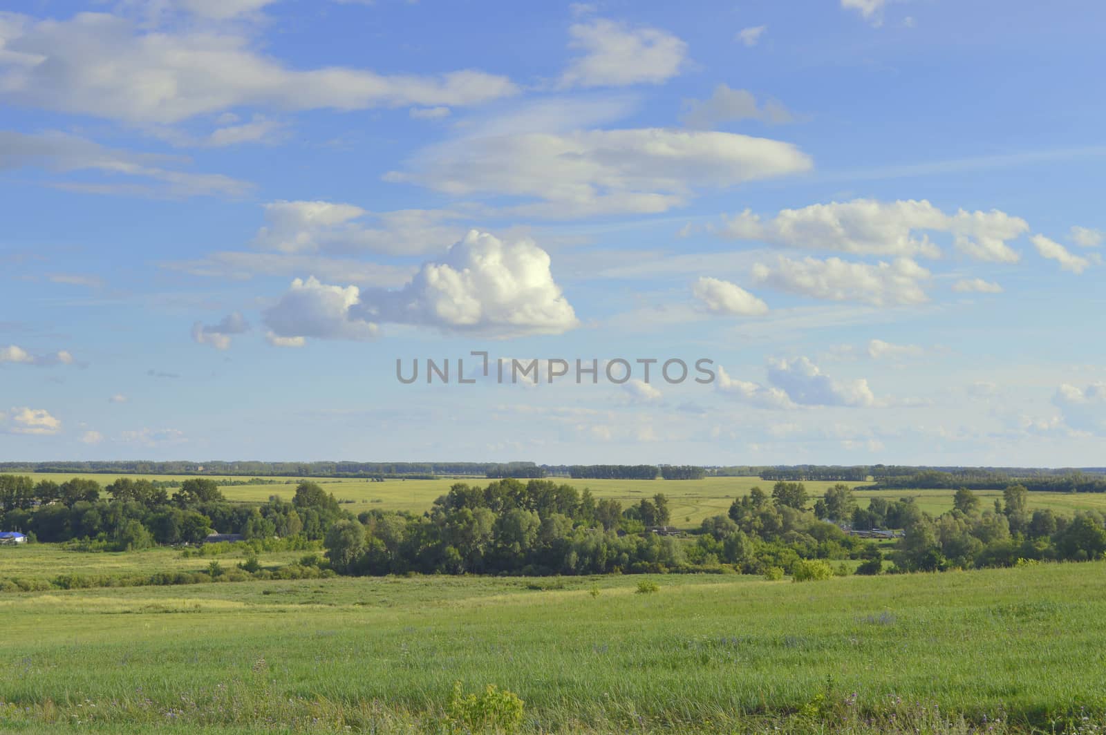 beautiful summer village landscape with sky and clouds