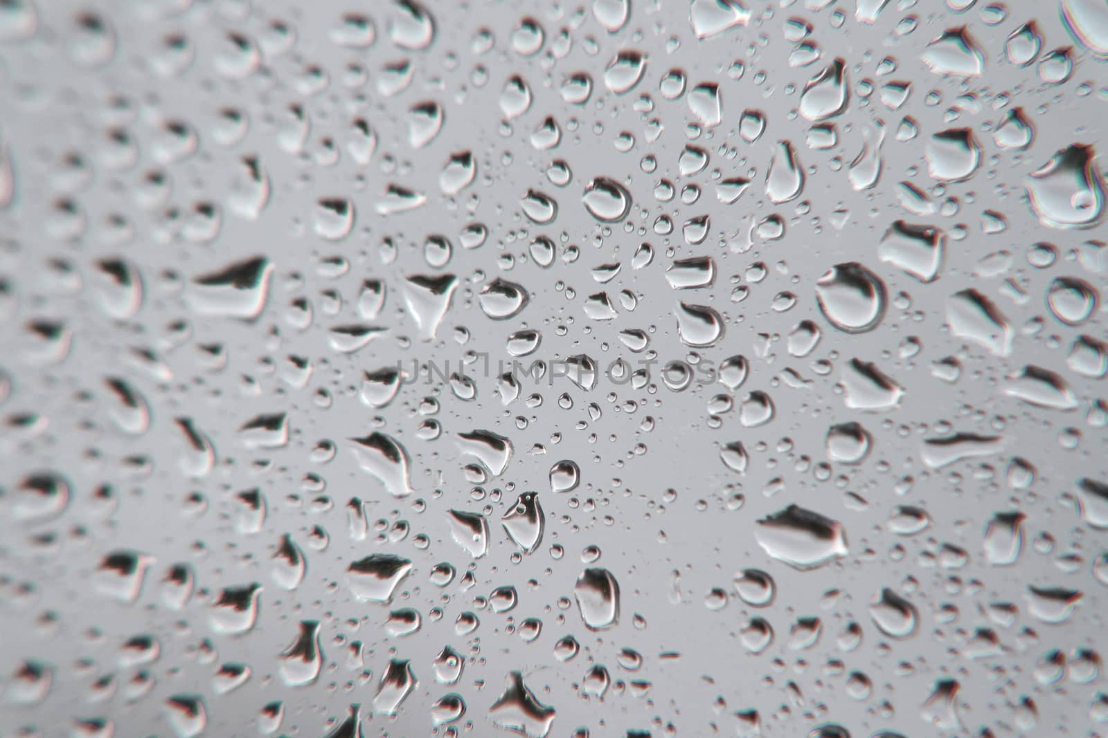 Drops of rain on the window, shallow dof