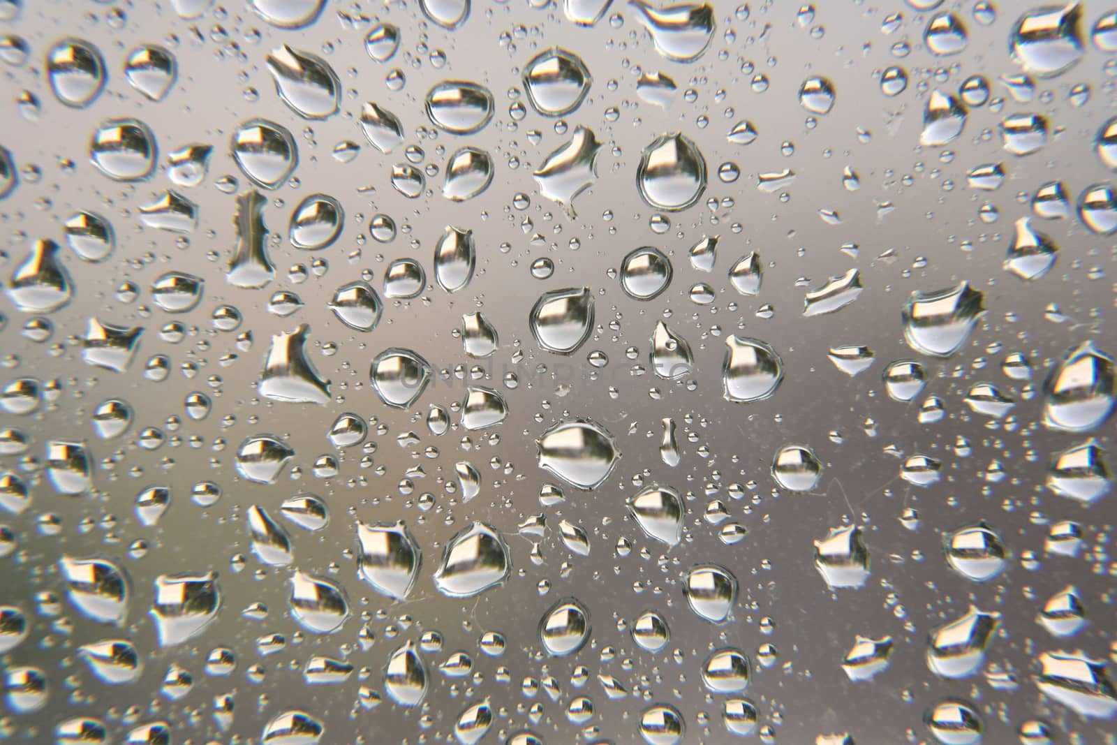 Drops of rain on the window, shallow dof