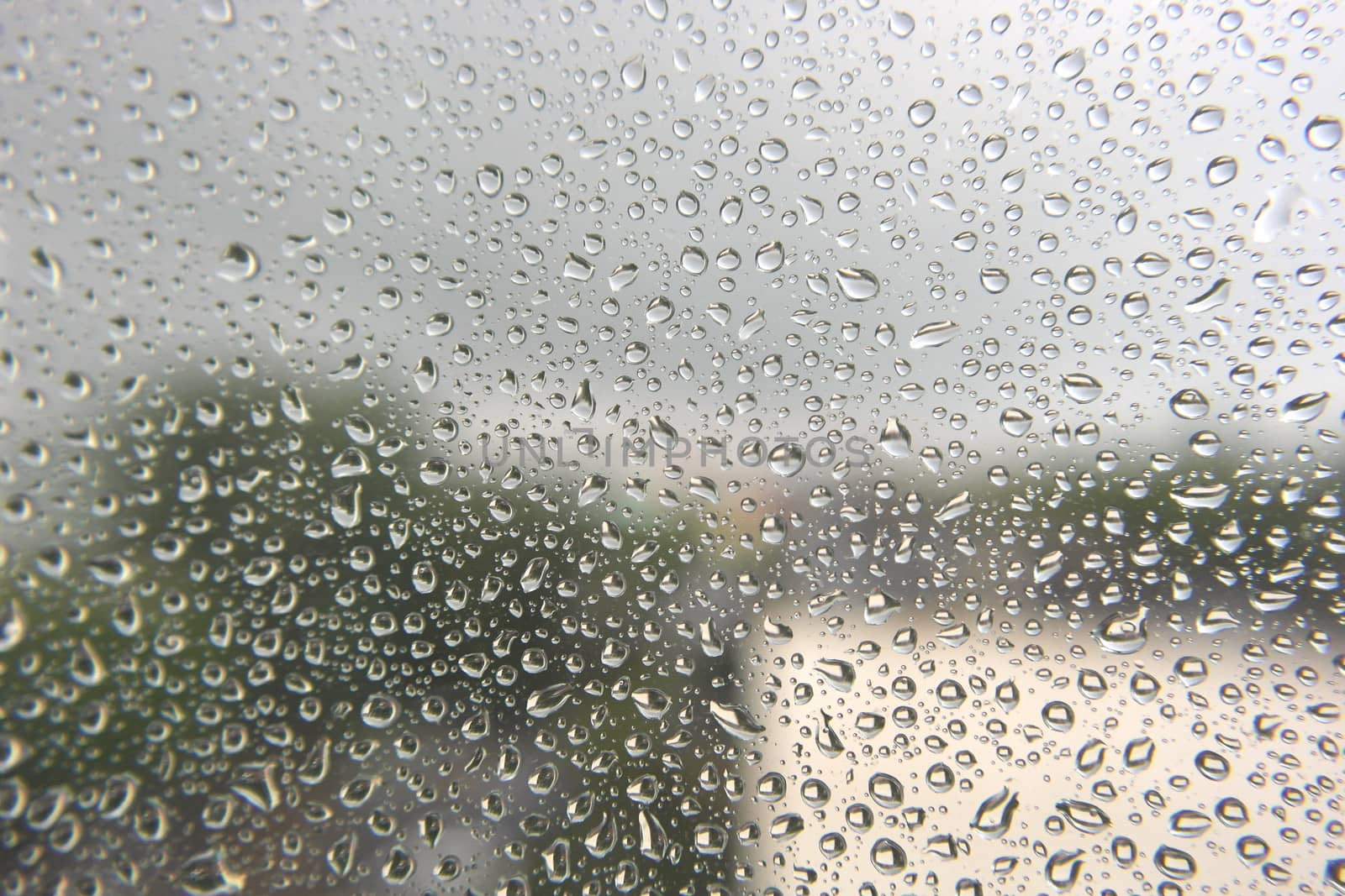 Drops of rain on the window by sergpet