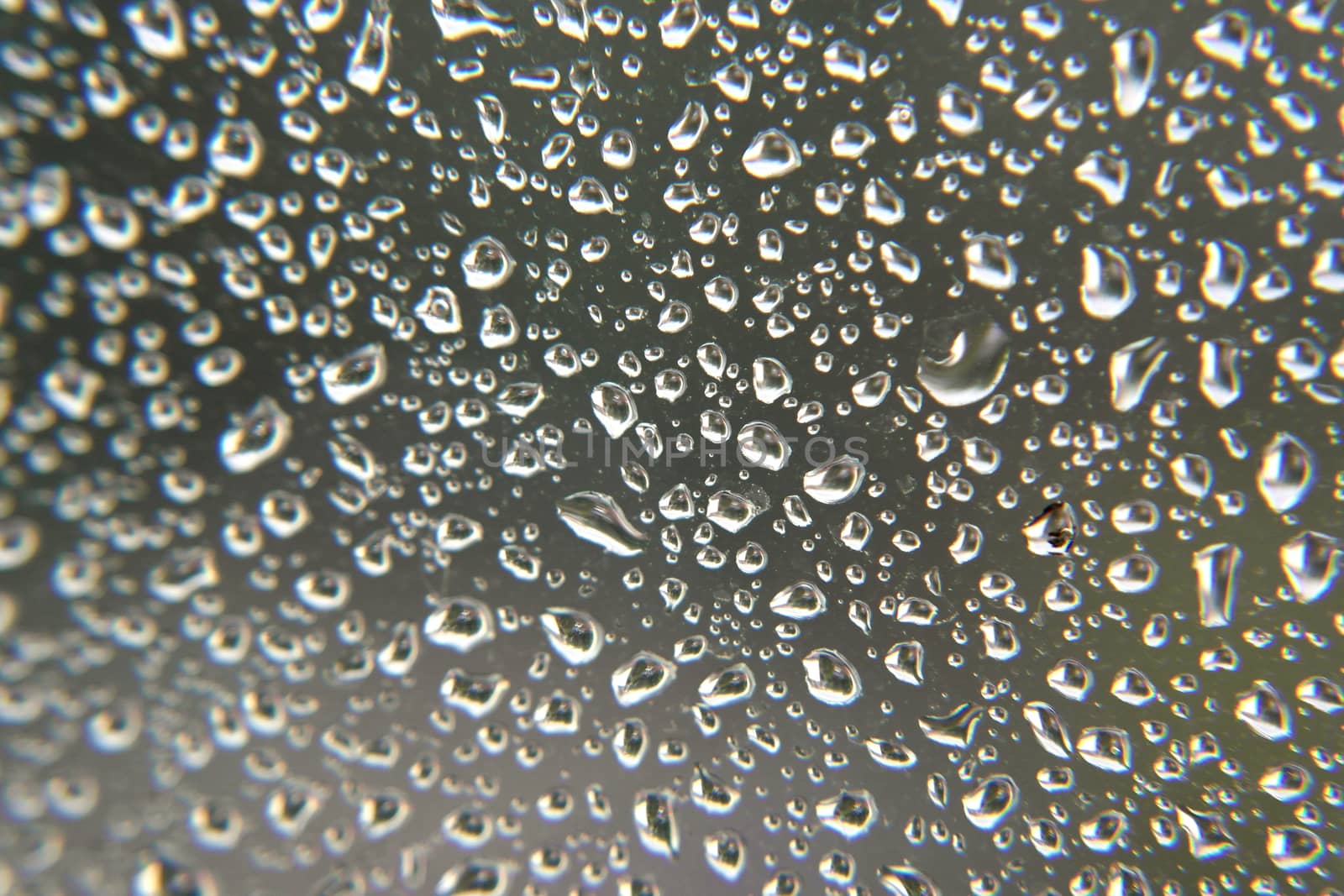 Drops of rain on the window by sergpet