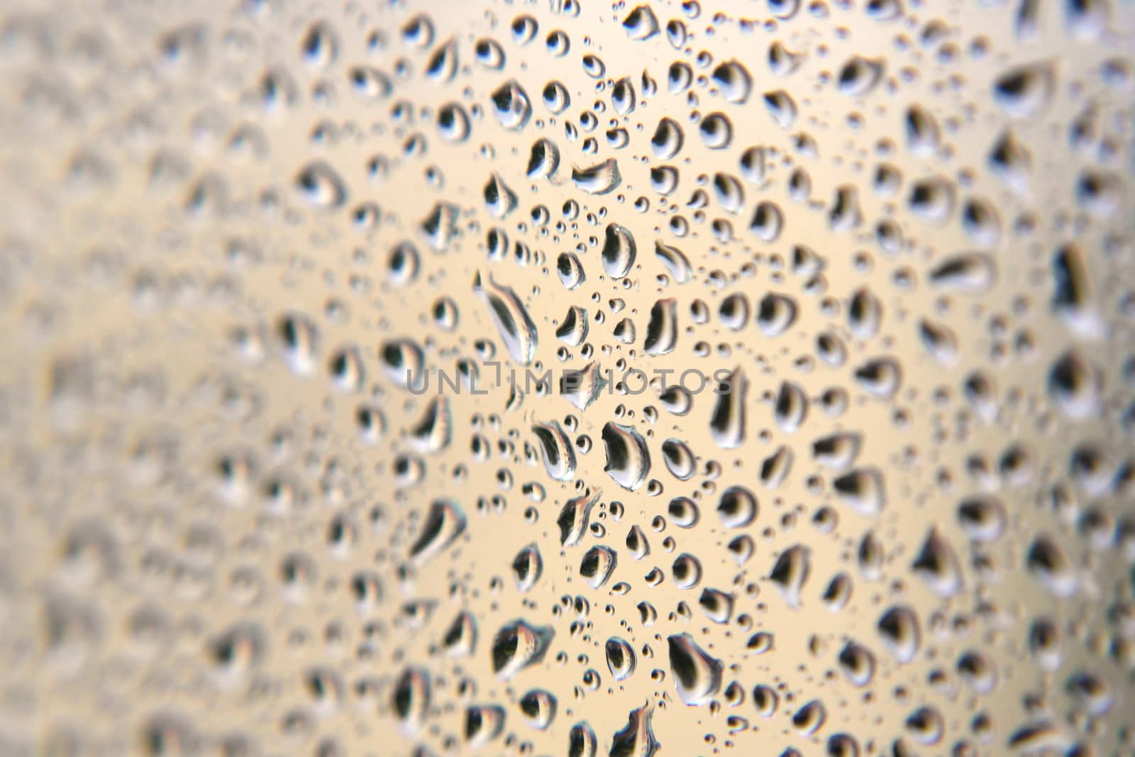 Drops of rain on the window, shallow dof