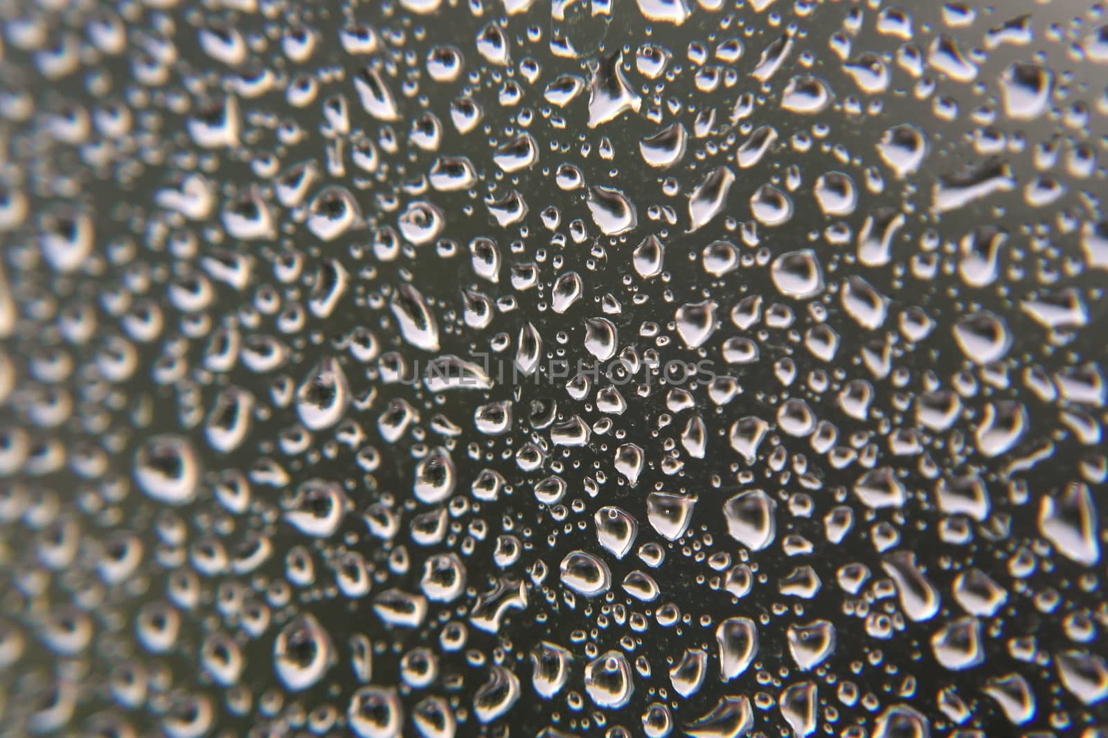 Drops of rain on the window, shallow dof