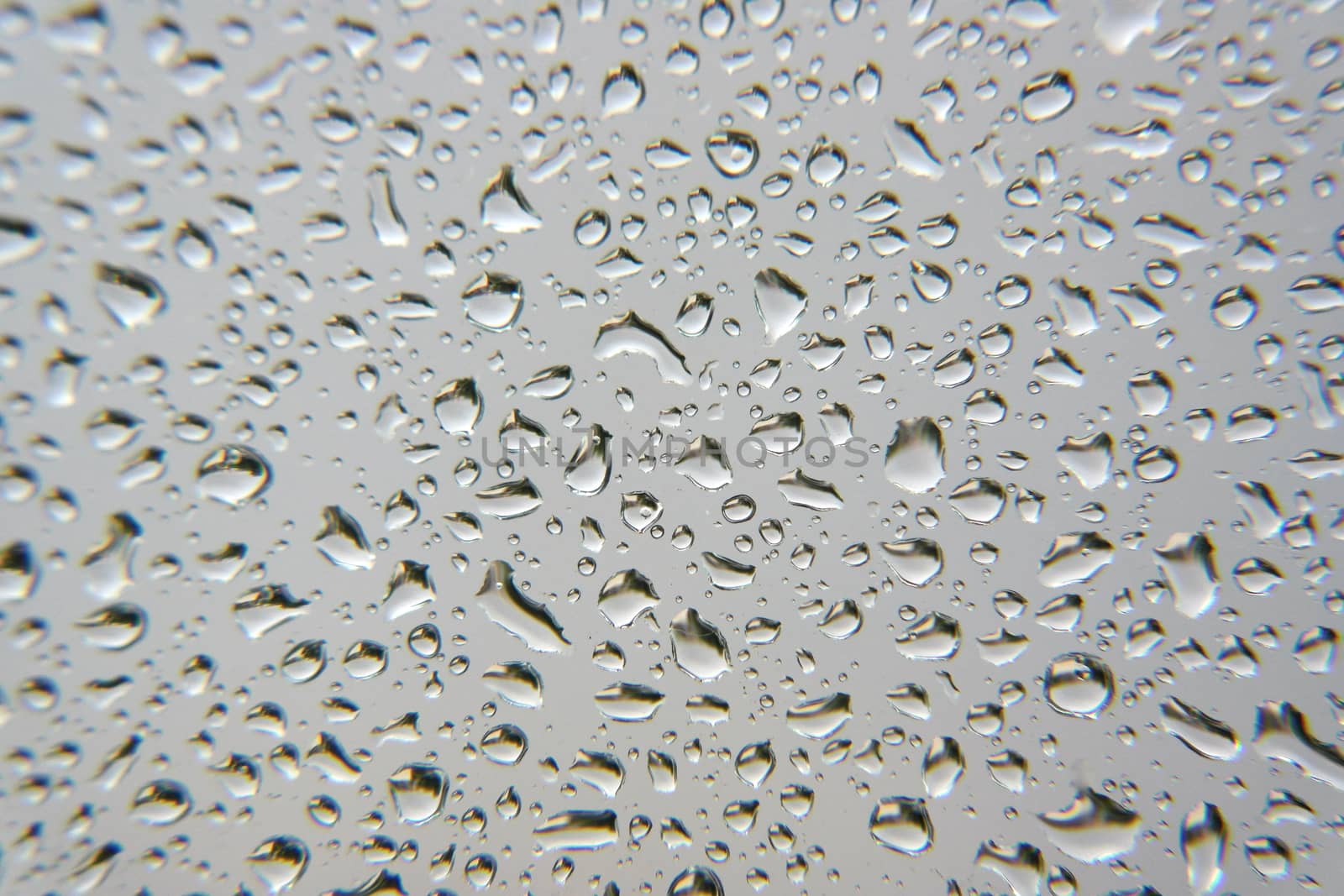 Drops of rain on the window by sergpet