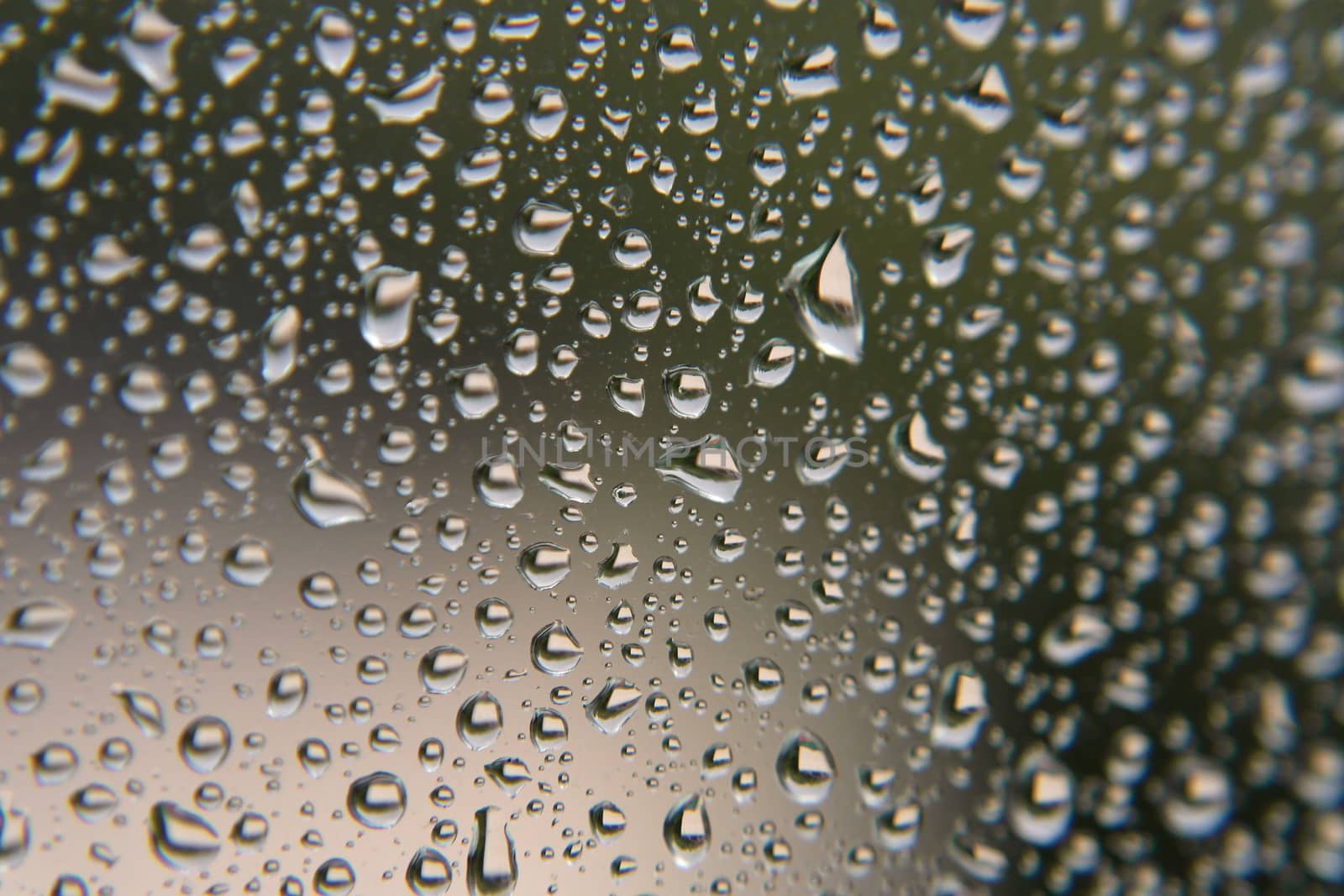 Drops of rain on the window, shallow dof