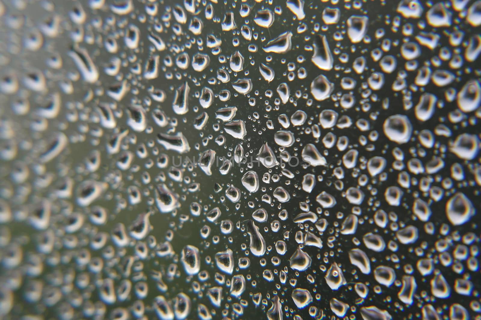 Drops of rain on the window, shallow dof