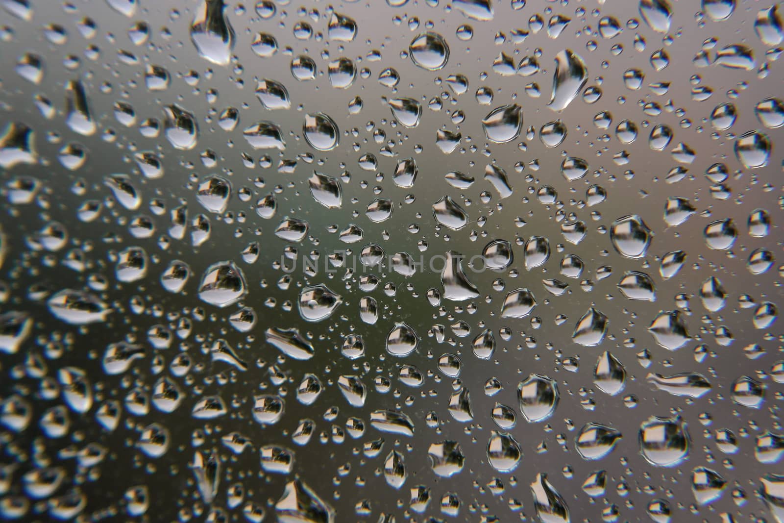 Drops of rain on the window, shallow dof