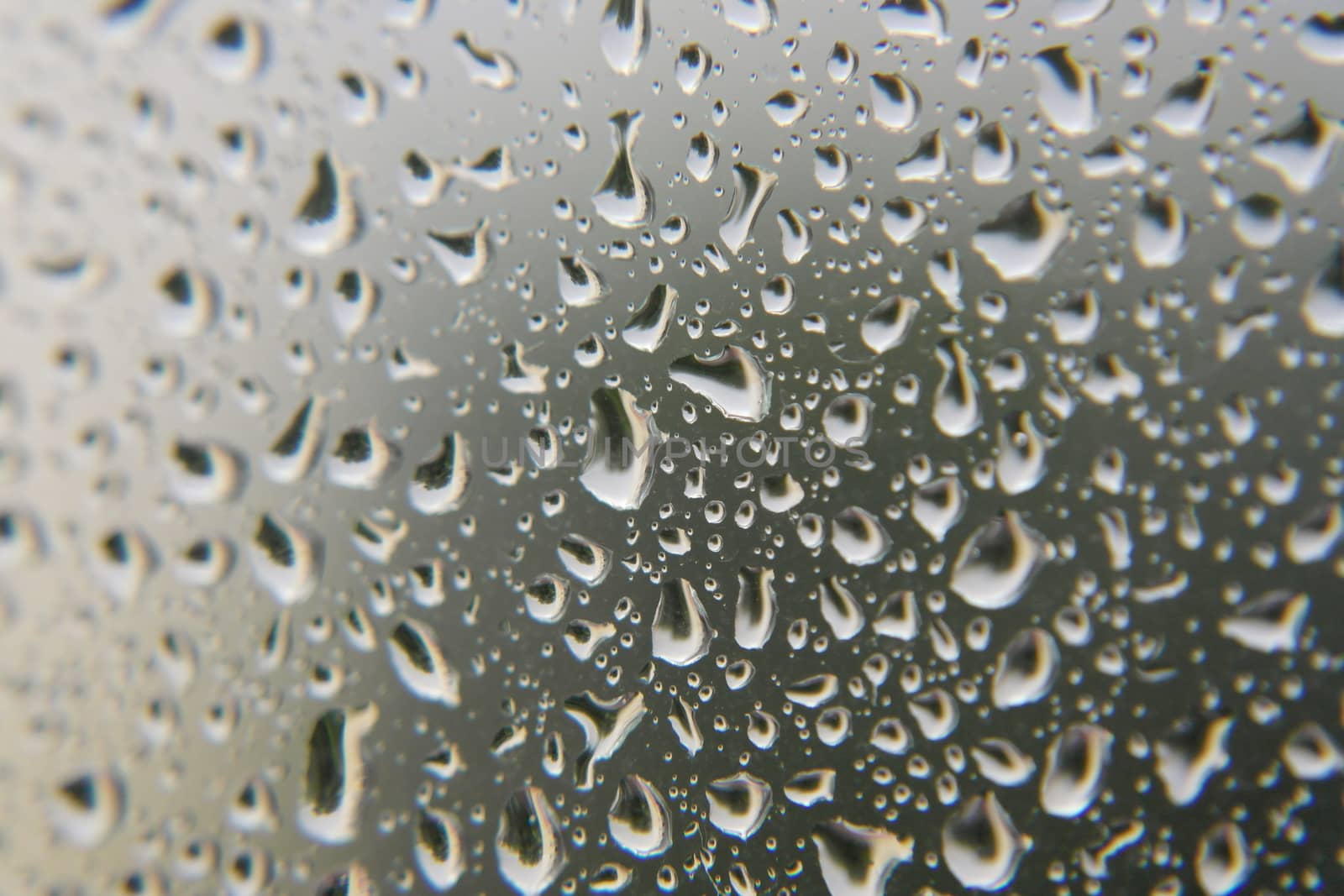 Drops of rain on the window, shallow dof