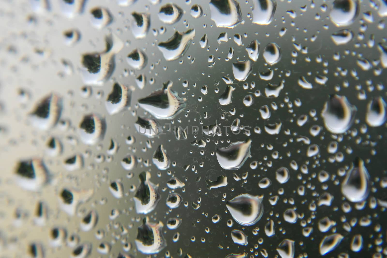 Drops of rain on the window by sergpet