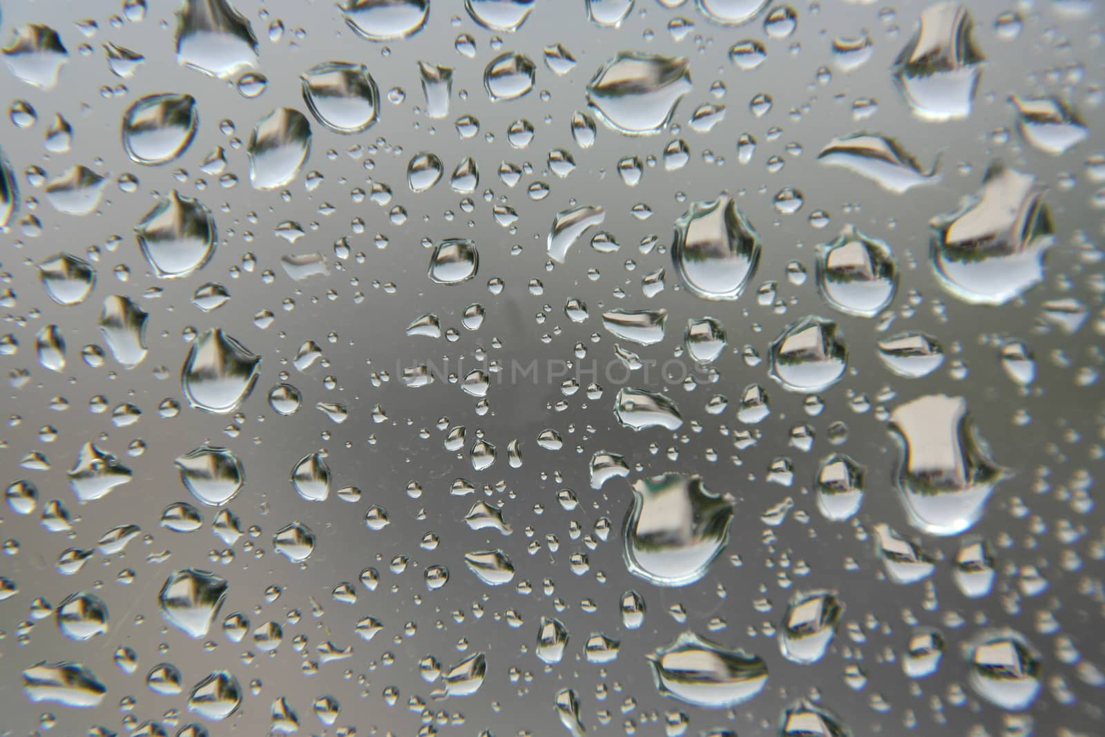 Drops of rain on the window, shallow dof