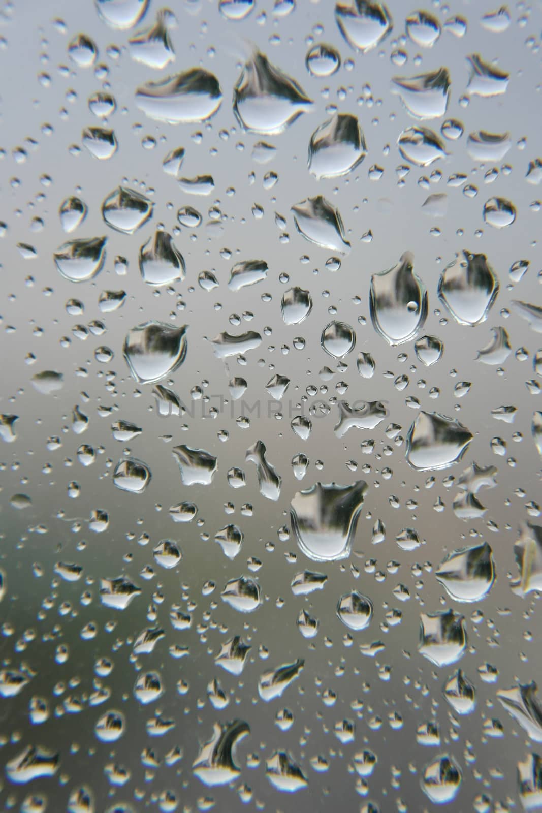 Drops of rain on the window, shallow dof