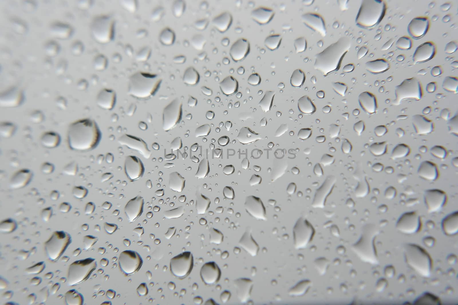 Drops of rain on the window, shallow dof